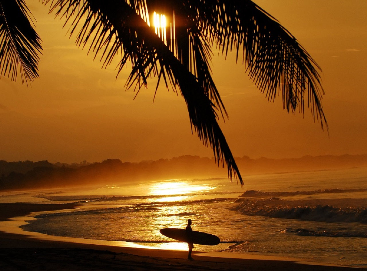 Costa Rican Surf Adventure: Self-Drive Tour