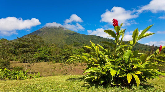 Costa Rica's Ultimate Self-Drive Adventure: Discover the Best