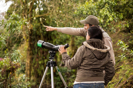 Discover the Wonders of Birdwatching in Costa Rica