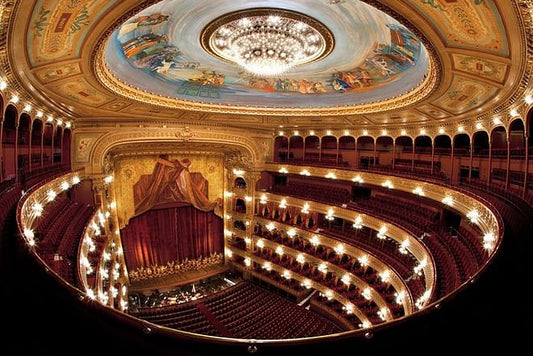 Skip-the-Line Teatro Colón Access with Buenos Aires Palaces Tour