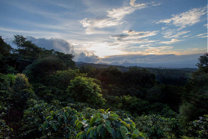 Discover Costa Rica's Magical Charm: Exclusive Naranjo Retreat for a Memorable Short Getaway