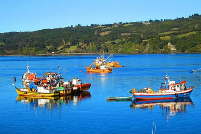 Discover the Majestic Beauty of Chile: A 4-Day Adventure in the Lake District and Puerto Varas