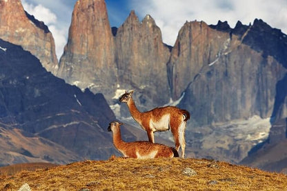 Unforgettable 4-Day Torres del Paine Hiking Adventure from Puerto Natales