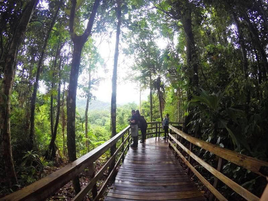 Puerto Limon Veragua Rainforest Adventure with Aerial Tram Experience