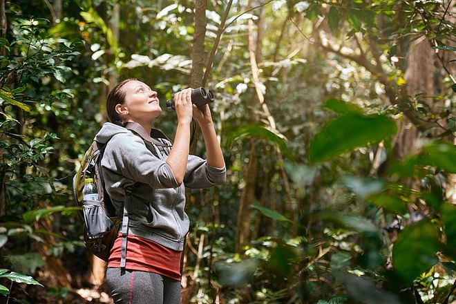 Costa Rica Discovery Tour: 10 Days Exploring Tropical Paradise