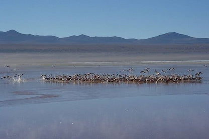 Six-Day Adventure: Exploring the Majestic Atacama and Uyuni Salt Flats
