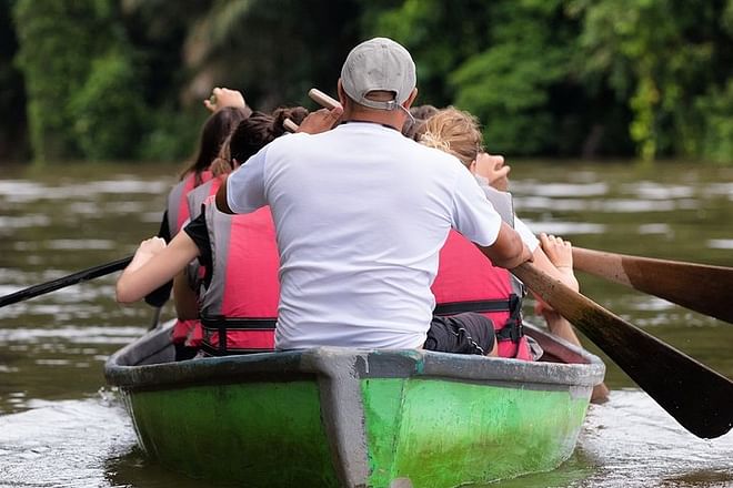 Ultimate 14-Day Costa Rica Safari Adventure: The Vacation of a Lifetime