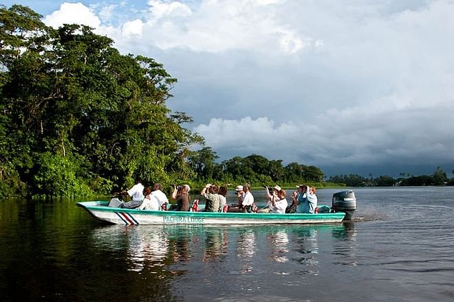 Tortuguero National Park 3-Day Exploration Package