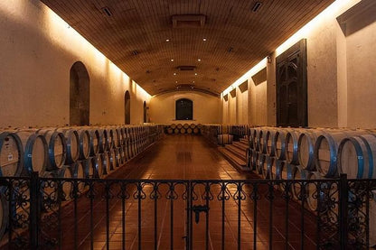 Concha y Toro Winery Small-Group Experience: Exclusive Half-Day Tour