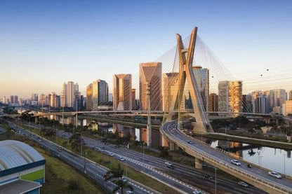 Sao Paulo Highlights: Exclusive 5-Hour Private Tour with Optional Airport Pickup