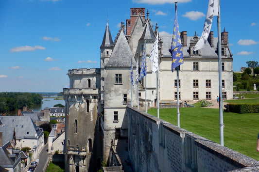 Exclusive Loire Valley Castles Tour from Paris: Minivan Experience with Entrance Tickets and Wine Tasting