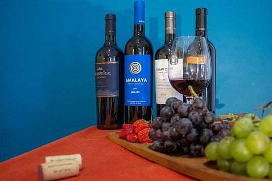 Argentina's Premier Malbec Wine Journey: Interactive Online Tasting Experience