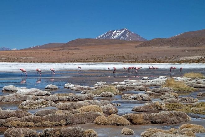 Explore the Magical Uyuni Salt Flats: 4-Day Adventure from San Pedro de Atacama