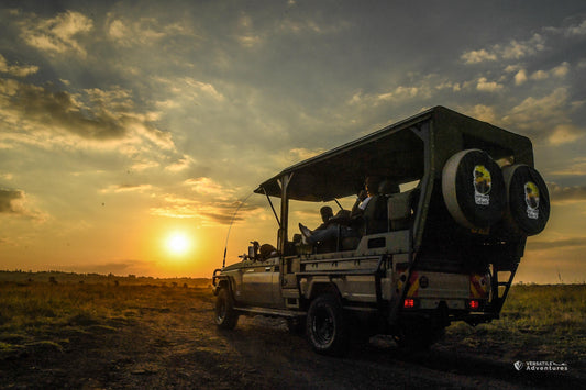 Open Jeep Sunrise Safari Experience at Nairobi National Park