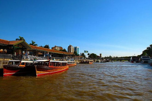Exclusive Buenos Aires to Tigre Delta Day Excursion