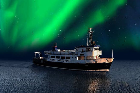 Reykjavik Northern Lights Cruise: An Unforgettable Boat Experience