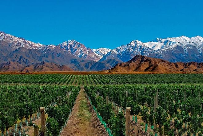 Discover the Wonders of Chile and Argentina: A 10-Day Adventure Tour