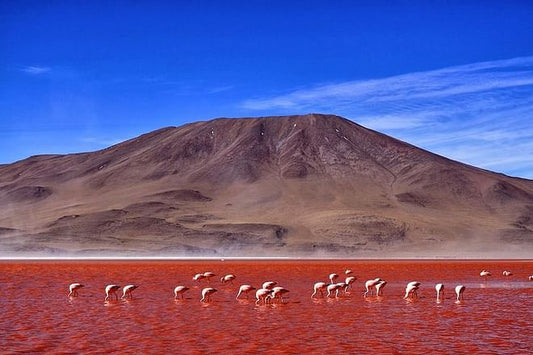 Six-Day Adventure: Exploring the Majestic Atacama and Uyuni Salt Flats