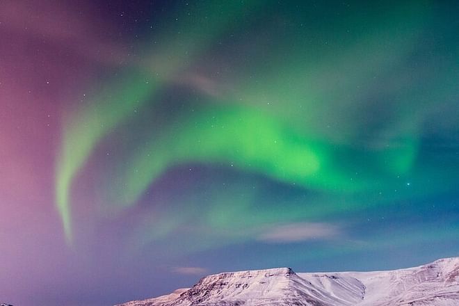 Reykjavik Northern Lights Cruise: An Unforgettable Boat Experience