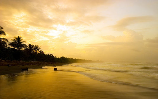 Discover the Wonders of Tambor's Coastline and Wildlife: The Ultimate Self-Drive Adventure