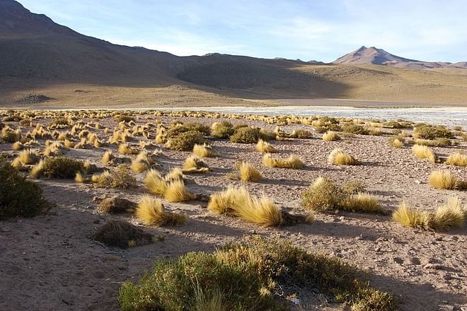 San Pedro de Atacama 3-Day Discovery Adventure Tour