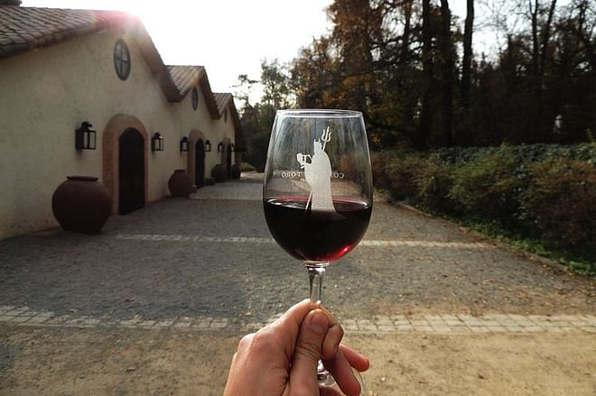Concha y Toro Winery Small-Group Experience: Exclusive Half-Day Tour