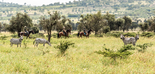 Maasai Mara Horseback Safari Experience