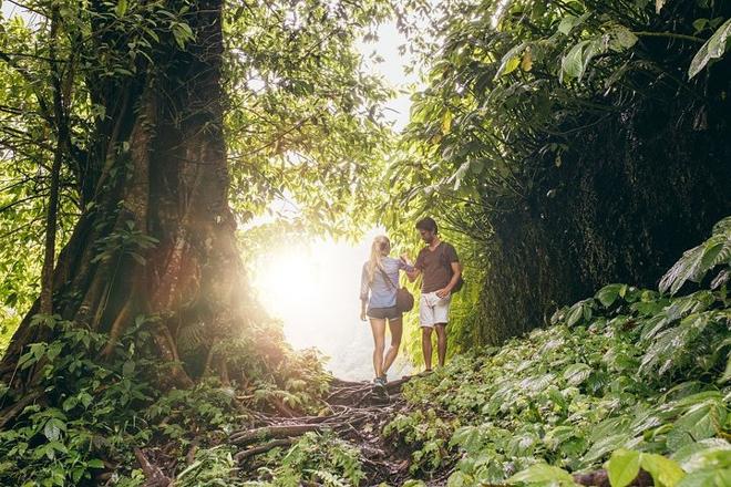 Ultimate Costa Rica Adventure: 12-Day, 11-Night Vacation Experience