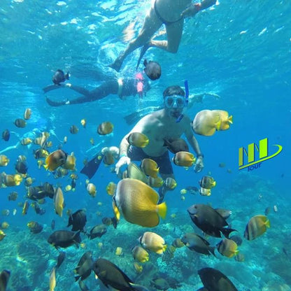 Ultimate Nusa Penida Snorkeling Experience: Full-Day Adventure with Kelingking and Broken Beach Visit