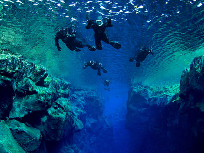 Exclusive Silfra Snorkeling Experience - Full-Day Tour