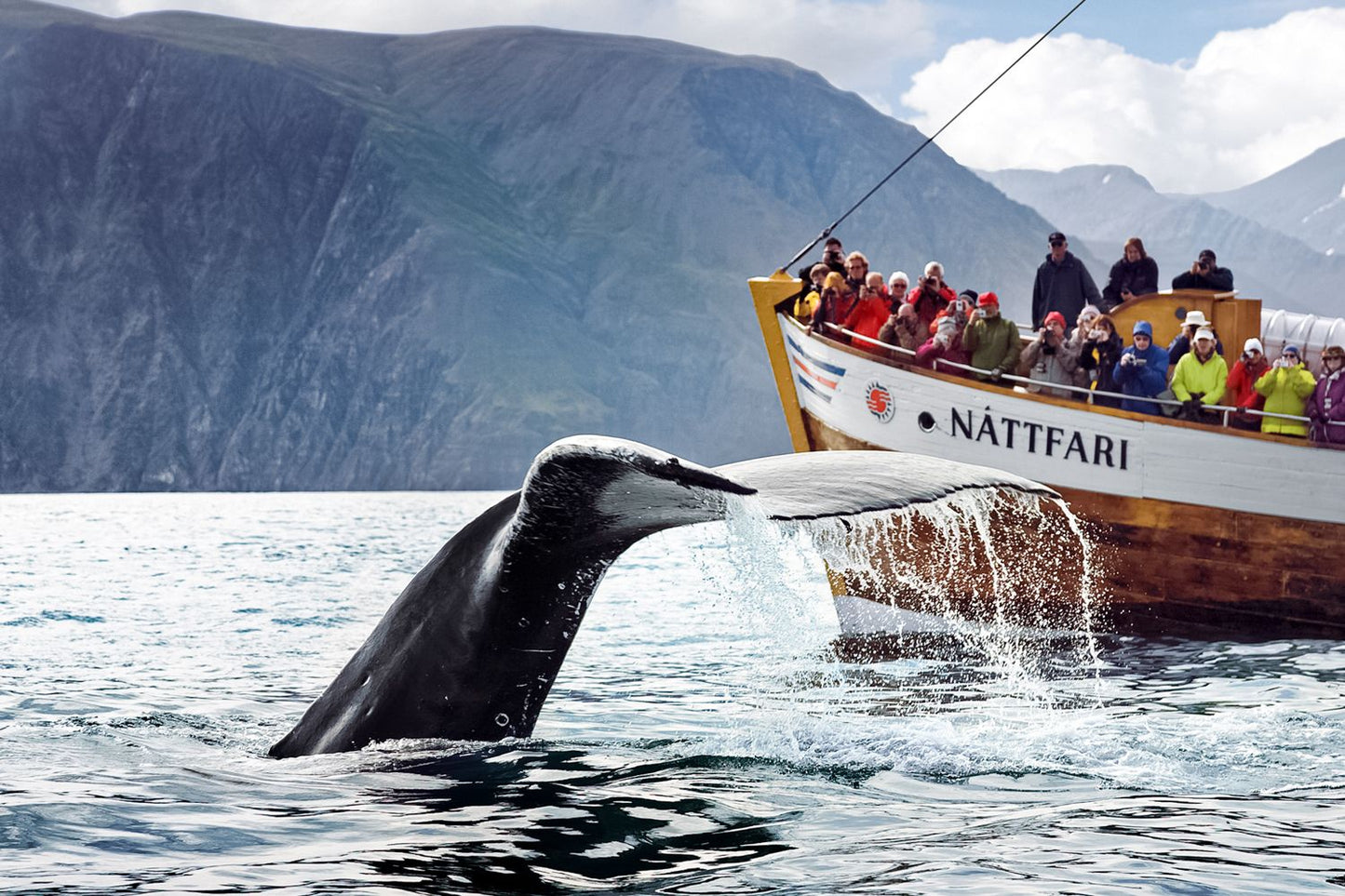 Husavik Ultimate Sea Expedition: Whale Watching and Sandoy Snorkeling Adventure