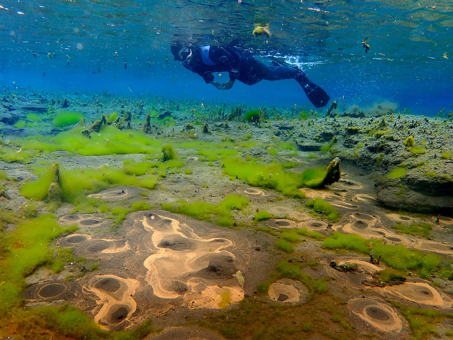 Exclusive Snorkeling Adventure at the Bubbling Sands