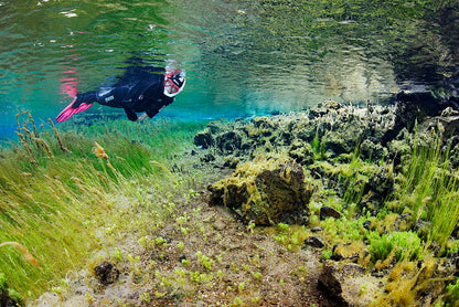 Exclusive Snorkeling Adventure at the Bubbling Sands