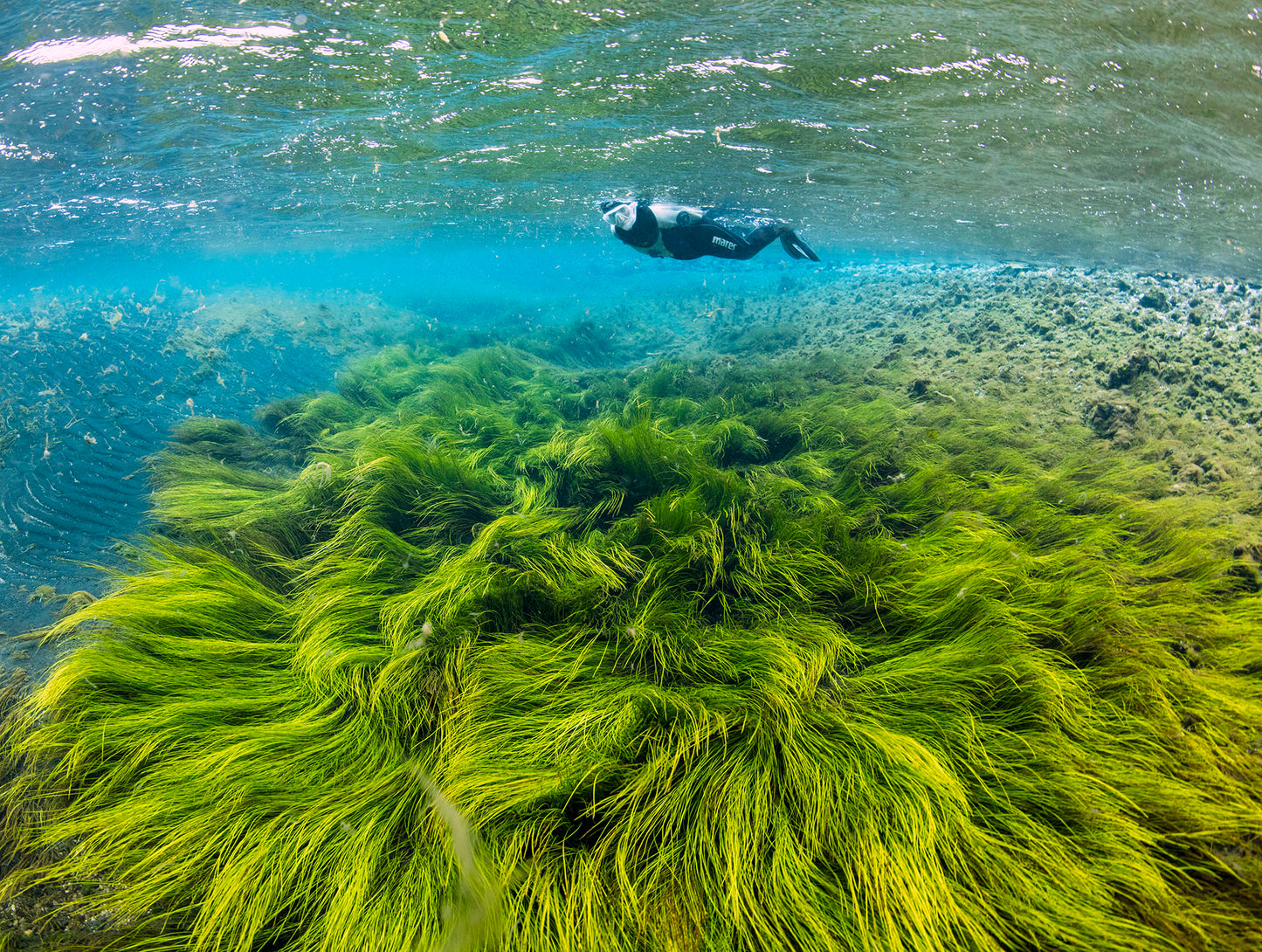 Exclusive Snorkeling Adventure at the Bubbling Sands