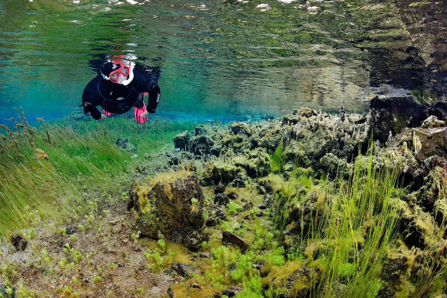 Exclusive Snorkeling Adventure at the Bubbling Sands